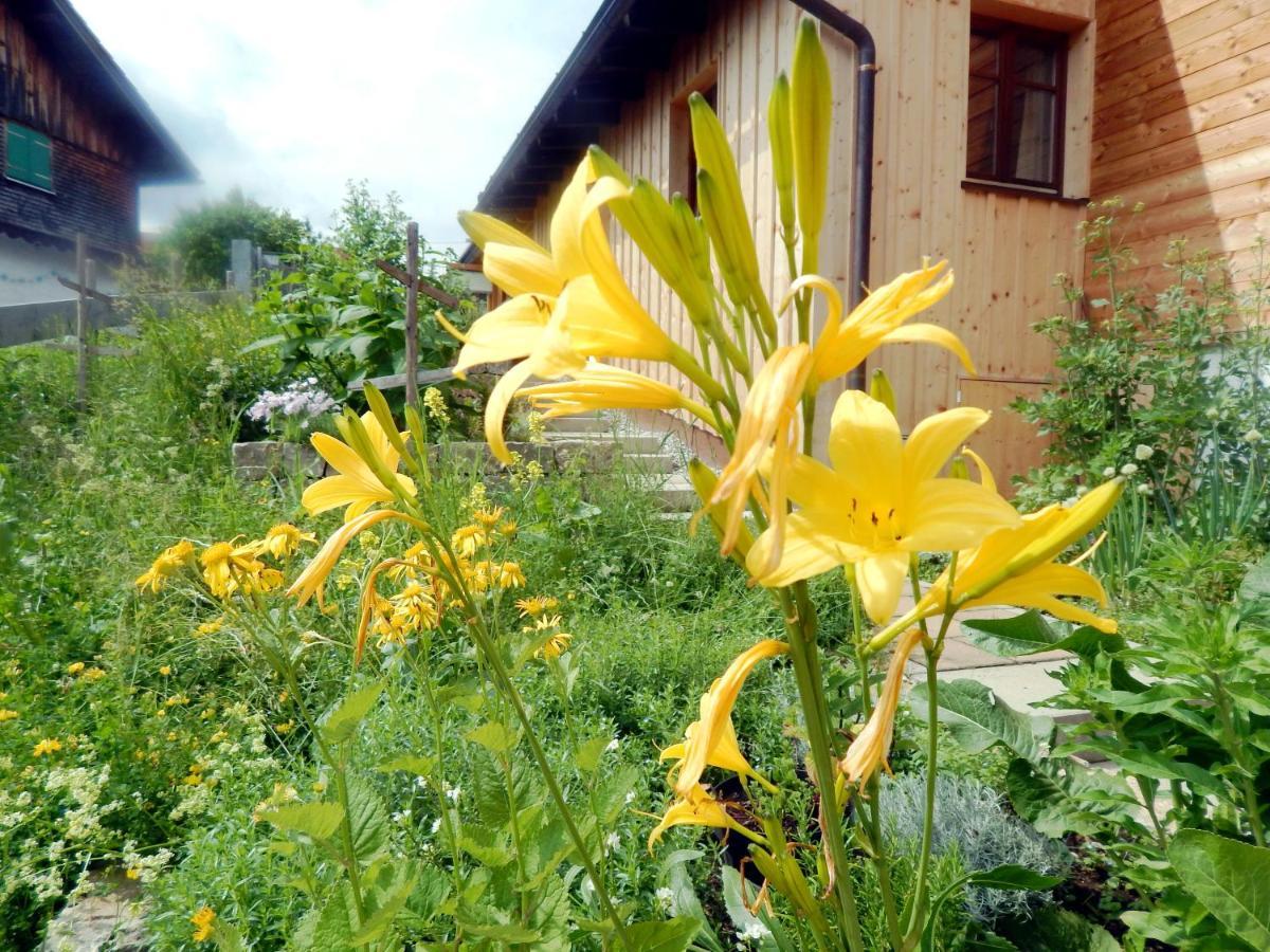 Berggasthof Sonne Allgaeu سونثوفن المظهر الخارجي الصورة