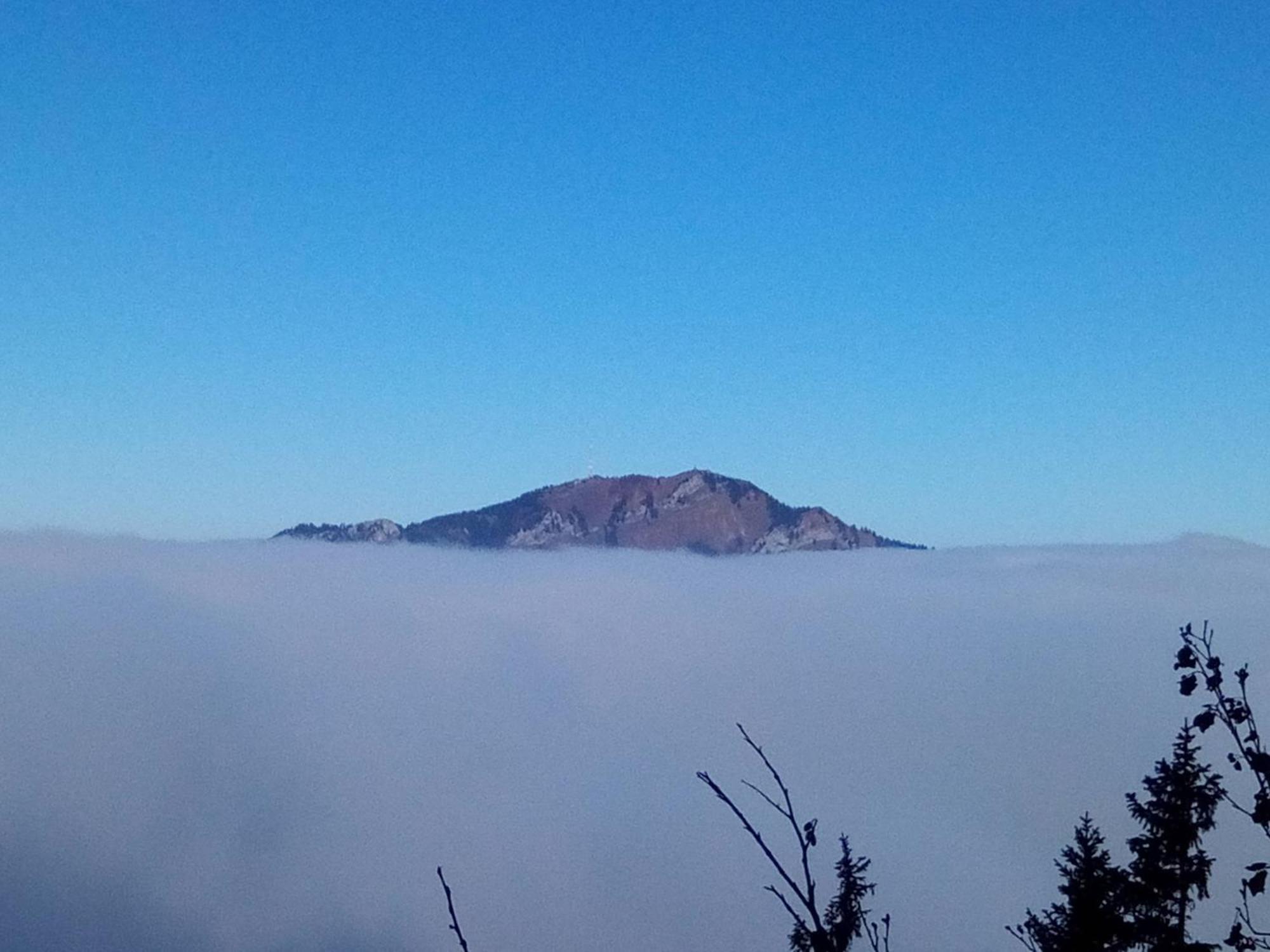 Berggasthof Sonne Allgaeu سونثوفن المظهر الخارجي الصورة