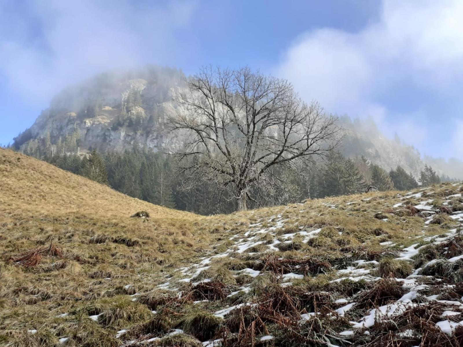 Berggasthof Sonne Allgaeu سونثوفن المظهر الخارجي الصورة